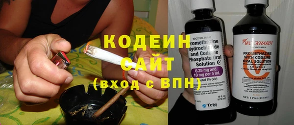 хмурый Алексин