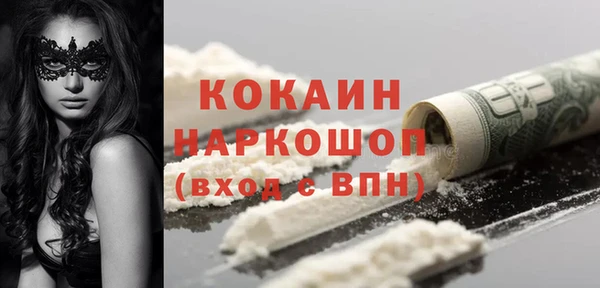 хмурый Алексин