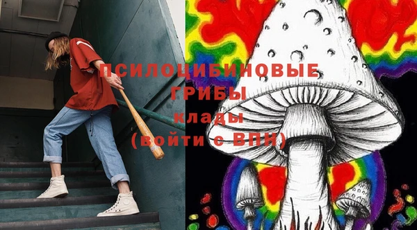 хмурый Алексин