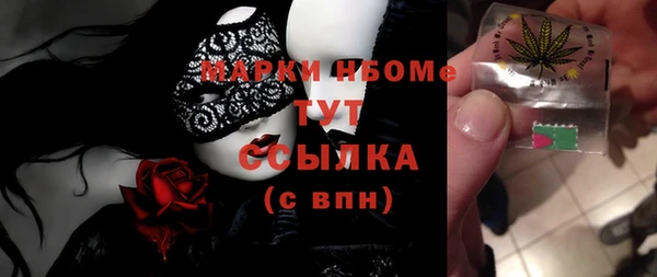 хмурый Алексин