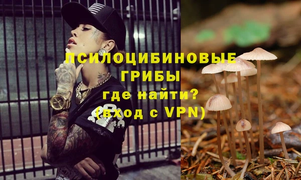 хмурый Алексин
