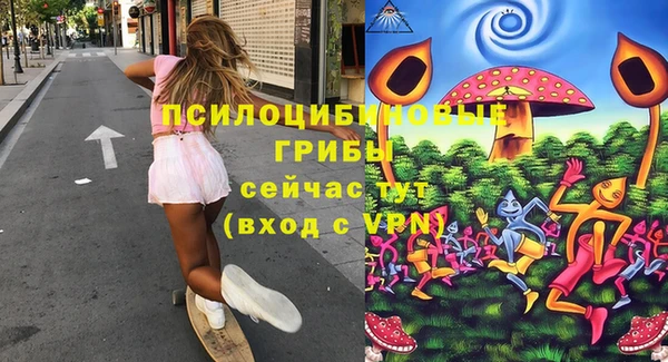 молекула духа Алзамай