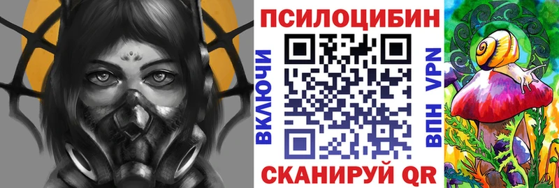 Псилоцибиновые грибы MAGIC MUSHROOMS  где купить наркоту  Астрахань 