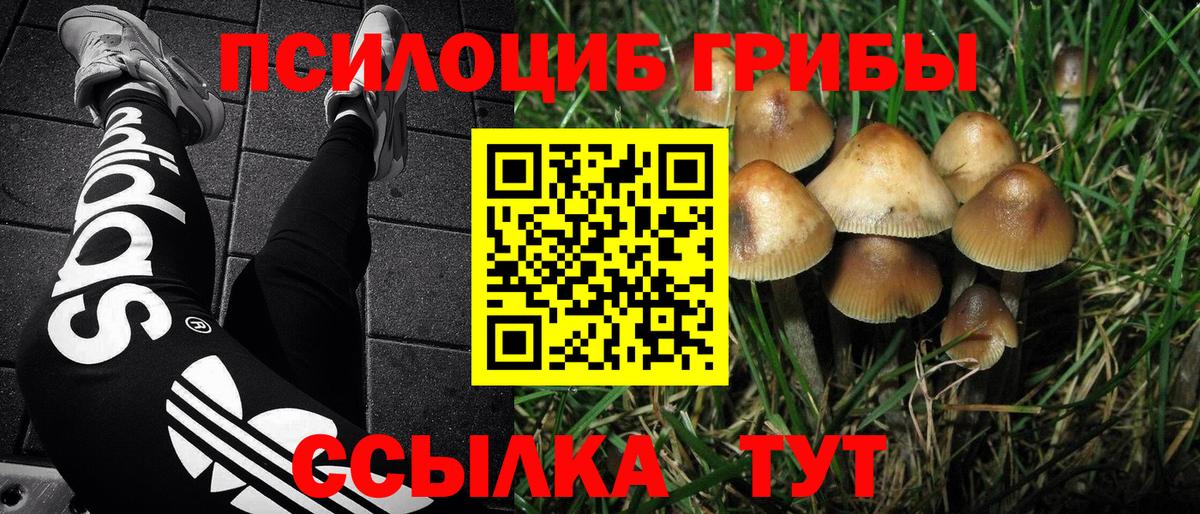 Псилоцибиновые грибы прущие грибы  Вход с VPN  Астрахань 